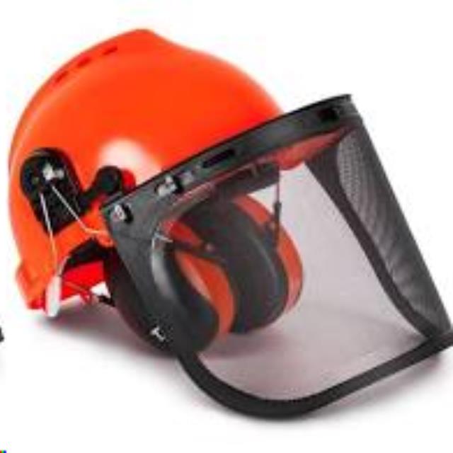 Rental store for HELMET W  EAR   SHIELD in Grand Rapids MN