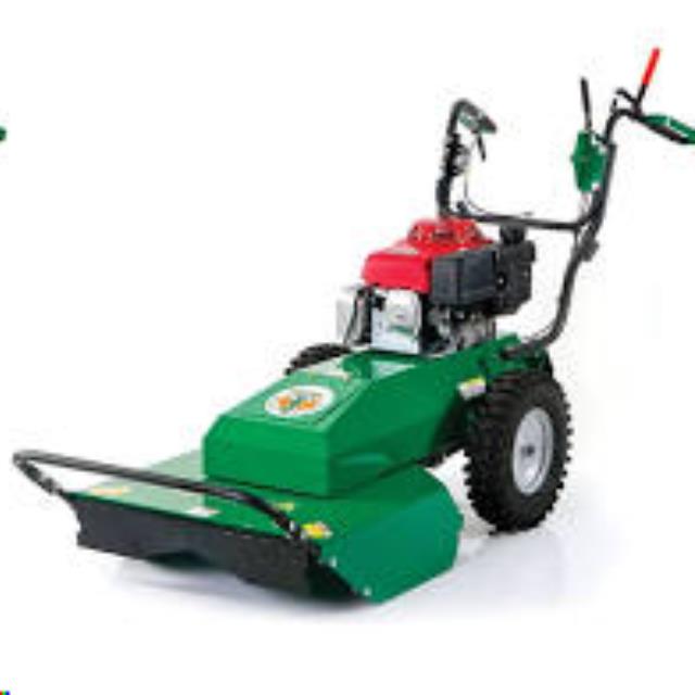 Rental store for BILLY GOAT BRUSHCUTTER in Grand Rapids MN
